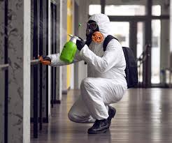 Best Biohazard Mold Removal  in La Paloma, TX